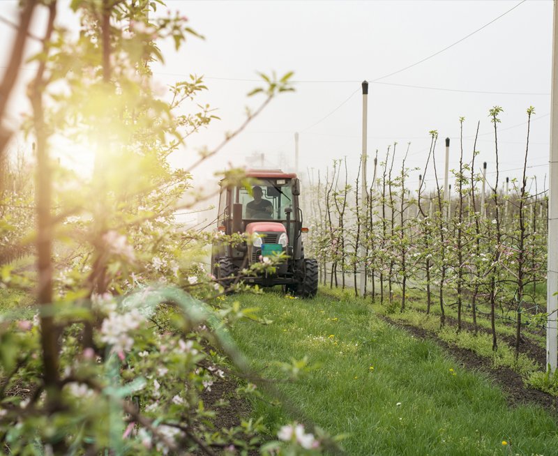 	Agricultural Marketing