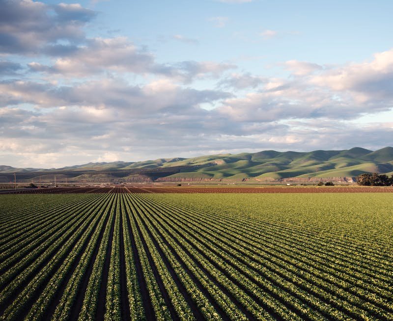 	Agricultural Production